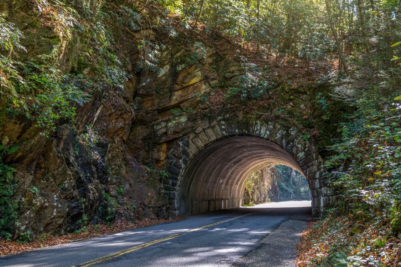 Fox Hollow Little Cove Luaran gambar