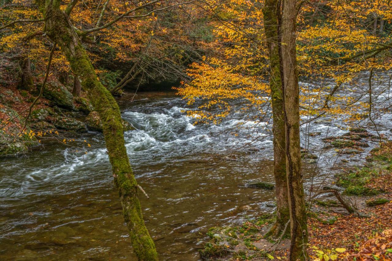 Fox Hollow Little Cove Luaran gambar